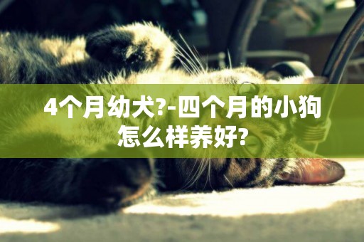 4個月幼犬?-四個月的小狗怎么樣養好?