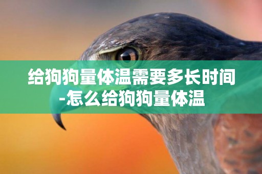 給狗狗量體溫需要多長時間-怎么給狗狗量體溫