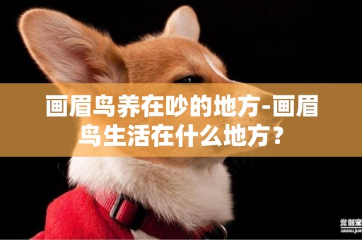 畫眉鳥養在吵的地方-畫眉鳥生活在什么地方？