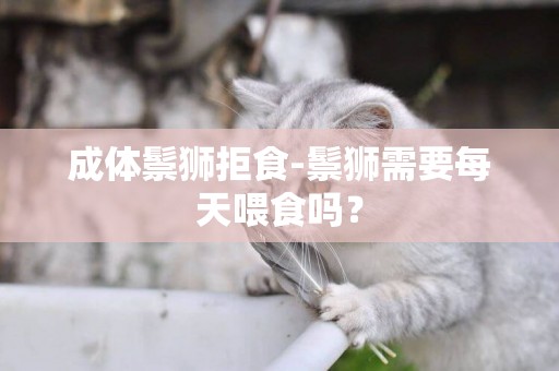 成體鬃獅拒食-鬃獅需要每天喂食嗎？