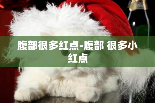 腹部很多紅點-腹部 很多小紅點