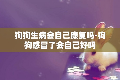 狗狗生病會自己康復嗎-狗狗感冒了會自己好嗎
