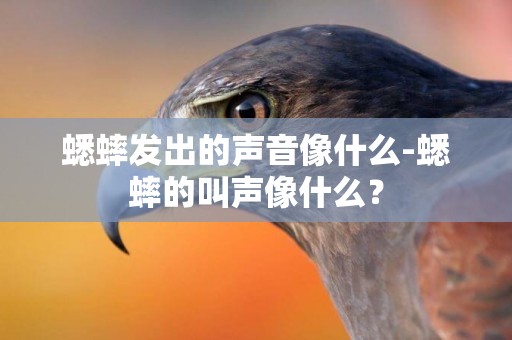 蟋蟀發出的聲音像什么-蟋蟀的叫聲像什么？