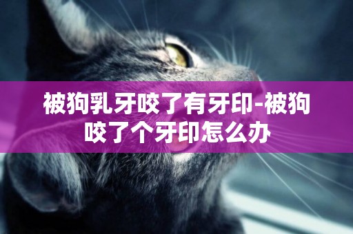 被狗乳牙咬了有牙印-被狗咬了個牙印怎么辦
