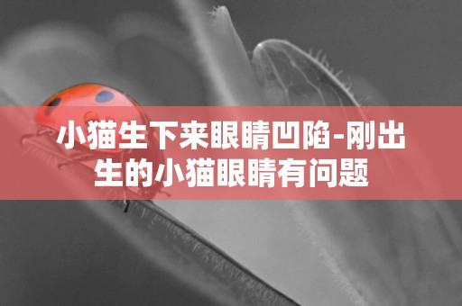 小貓生下來眼睛凹陷-剛出生的小貓眼睛有問題