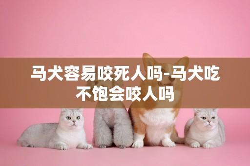馬犬容易咬死人嗎-馬犬吃不飽會咬人嗎