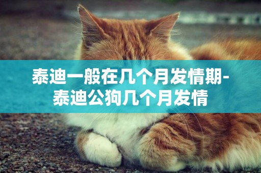 泰迪一般在幾個月發情期-泰迪公狗幾個月發情