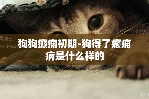 狗狗癲癇初期-狗得了癲癇病是什么樣的