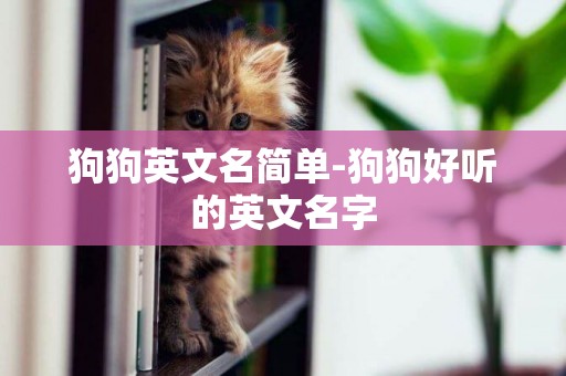 狗狗英文名簡單-狗狗好聽的英文名字