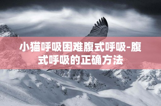 小貓呼吸困難腹式呼吸-腹式呼吸的正確方法