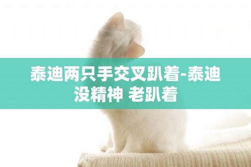 泰迪兩只手交叉趴著-泰迪沒精神 老趴著