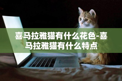 喜馬拉雅貓有什么花色-喜馬拉雅貓有什么特點