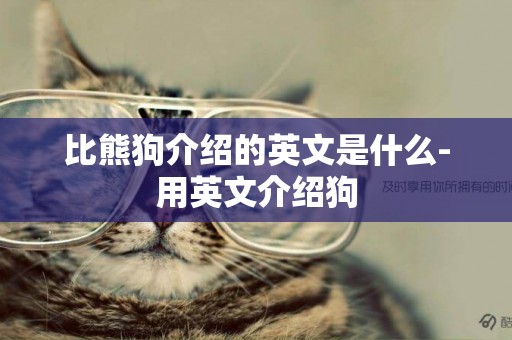比熊狗介紹的英文是什么-用英文介紹狗