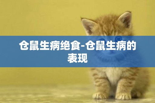 倉鼠生病絕食-倉鼠生病的表現