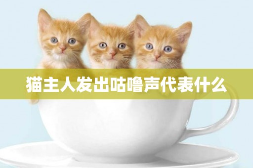貓主人發出咕嚕聲代表什么