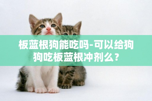 板藍根狗能吃嗎-可以給狗狗吃板藍根沖劑么？