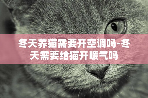 冬天養貓需要開空調嗎-冬天需要給貓開暖氣嗎