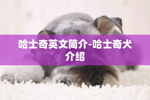 哈士奇英文簡介-哈士奇犬介紹
