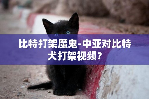 比特打架魔鬼-中亞對比特犬打架視頻？