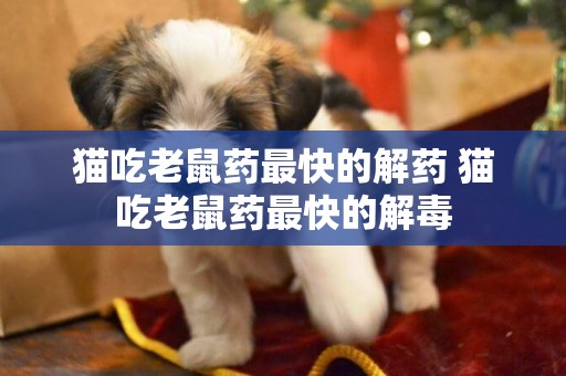 貓吃老鼠藥最快的解藥 貓吃老鼠藥最快的解毒