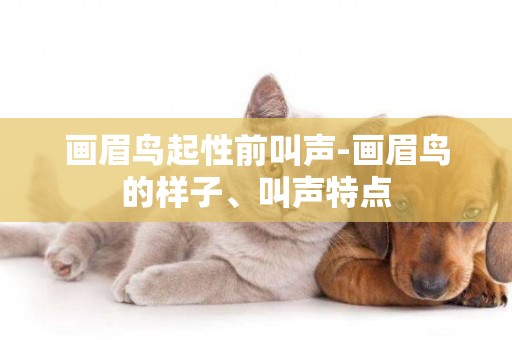畫眉鳥起性前叫聲-畫眉鳥的樣子、叫聲特點