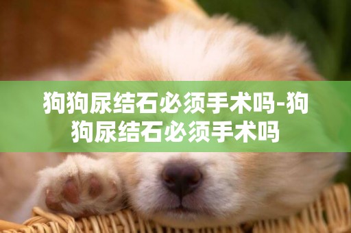 狗狗尿結石必須手術嗎-狗狗尿結石必須手術嗎