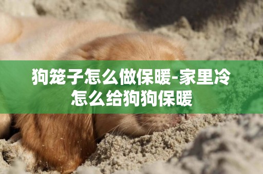 狗籠子怎么做保暖-家里冷怎么給狗狗保暖