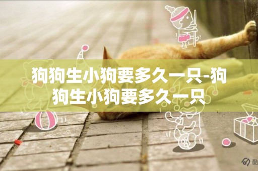 狗狗生小狗要多久一只-狗狗生小狗要多久一只