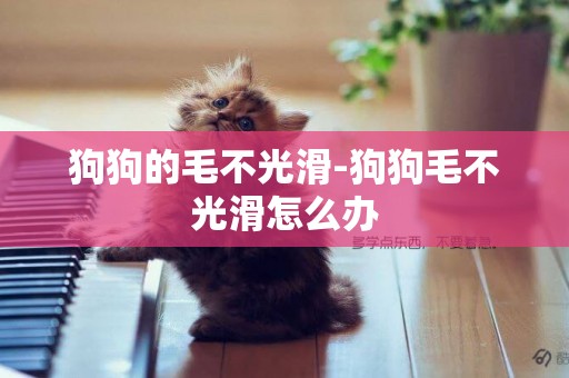 狗狗的毛不光滑-狗狗毛不光滑怎么辦