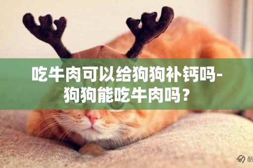 吃牛肉可以給狗狗補鈣嗎-狗狗能吃牛肉嗎？