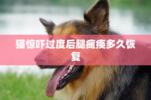 貓驚嚇過度后腿癱瘓多久恢復