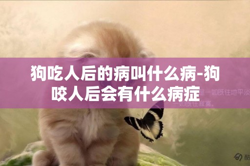 狗吃人后的病叫什么病-狗咬人后會有什么病癥