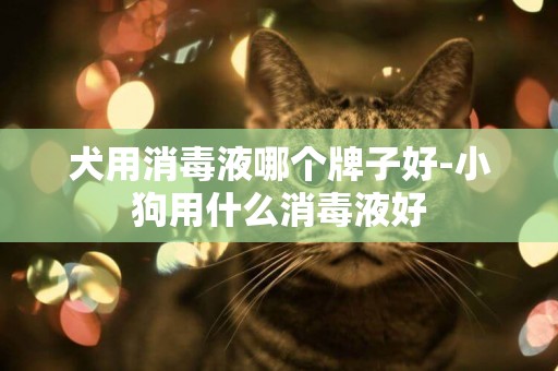 犬用消毒液哪個牌子好-小狗用什么消毒液好