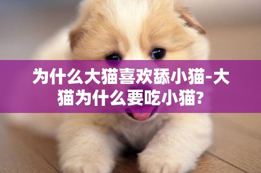 為什么大貓喜歡舔小貓-大貓為什么要吃小貓?