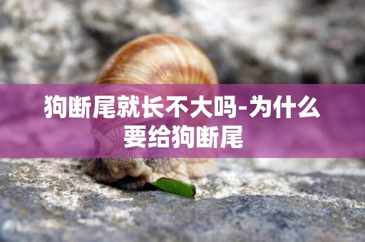 狗斷尾就長不大嗎-為什么要給狗斷尾