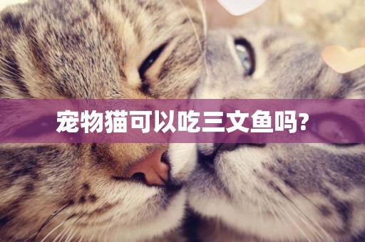 寵物貓可以吃三文魚嗎?