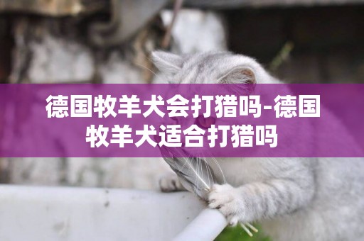 德國牧羊犬會打獵嗎-德國牧羊犬適合打獵嗎