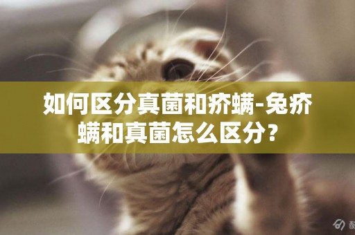 如何區分真菌和疥螨-兔疥螨和真菌怎么區分？