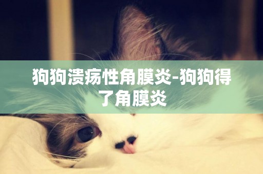 狗狗潰瘍性角膜炎-狗狗得了角膜炎