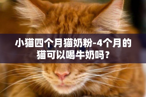 小貓四個月貓奶粉-4個月的貓可以喝牛奶嗎？