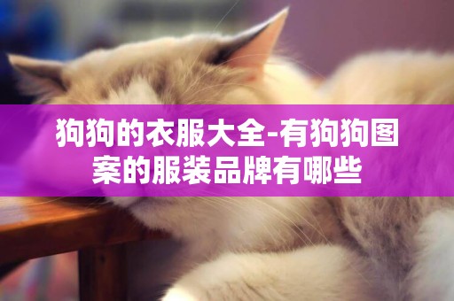 狗狗的衣服大全-有狗狗圖案的服裝品牌有哪些