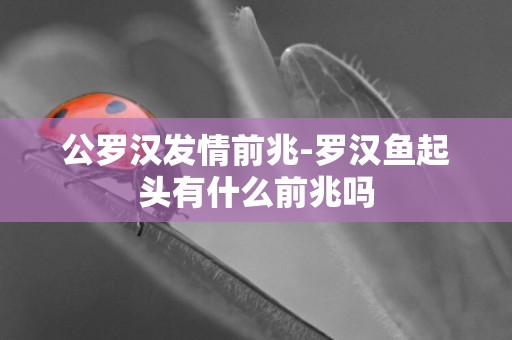 公羅漢發情前兆-羅漢魚起頭有什么前兆嗎