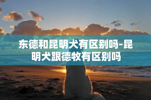 東德和昆明犬有區別嗎-昆明犬跟德牧有區別嗎