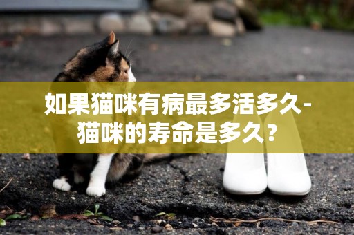 如果貓咪有病最多活多久-貓咪的壽命是多久？