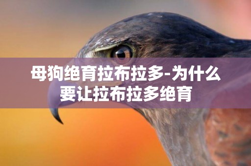 母狗絕育拉布拉多-為什么要讓拉布拉多絕育