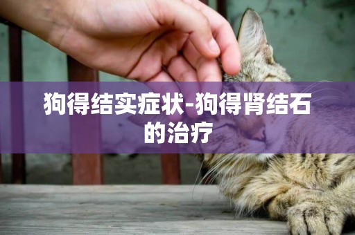 狗得結實癥狀-狗得腎結石的治療