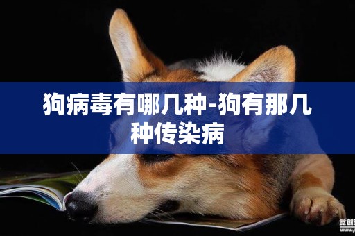 狗病毒有哪幾種-狗有那幾種傳染病
