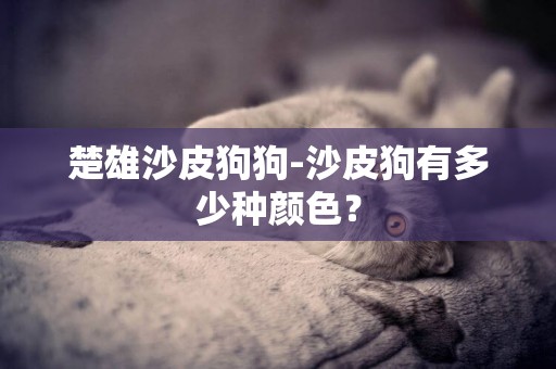 楚雄沙皮狗狗-沙皮狗有多少種顏色？
