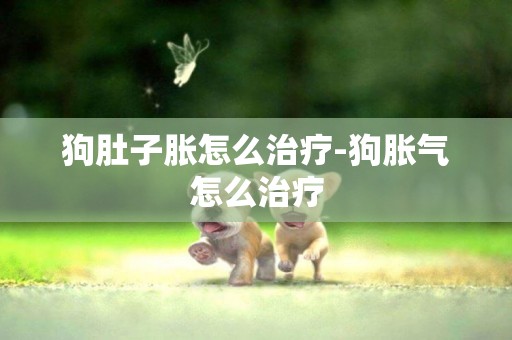 狗肚子脹怎么治療-狗脹氣怎么治療
