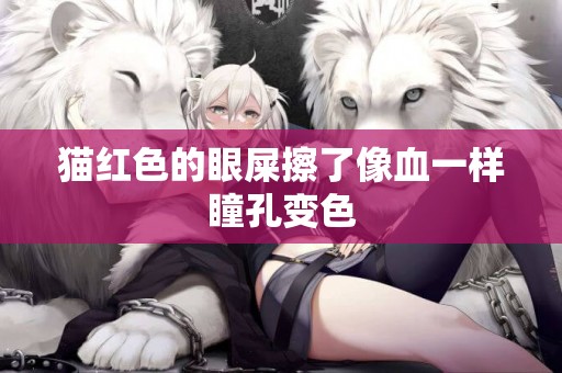 貓紅色的眼屎擦了像血一樣瞳孔變色